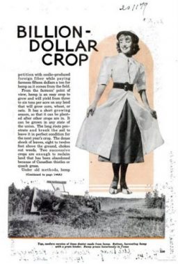 ″new billion dollar crop″