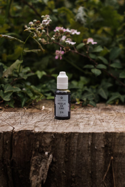 nunti sunya-chanvre-cbd-legislation cbd